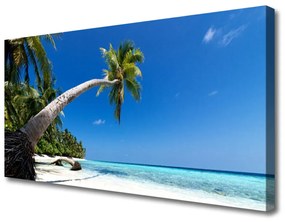 Obraz Canvas Pláž palma more krajina 100x50 cm