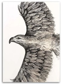 Gario Obraz na plátne Náčrt lietajúceho orla - Jan Perit Kablan Rozmery: 40 x 60 cm