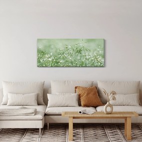 Obraz - Ranná rosa na steblach trávy (120x50 cm)