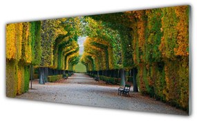 Obraz na akrylátovom skle Park jeseň záhrada príroda 125x50 cm
