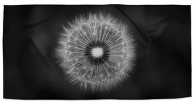 Sablio Uterák Čierno-biela púpava - 50x100 cm