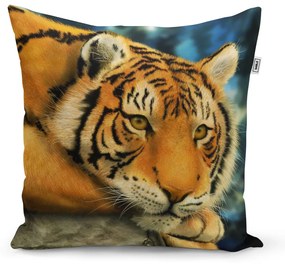 Sablio Vankúš tiger - 50x50 cm