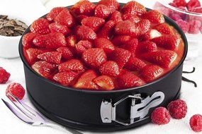 BERLINGERHAUS BH-1143 forma na tortu, 28 x 6,8 cm Granit Diamond