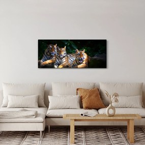Obraz - Tigrii bratia (120x50 cm)