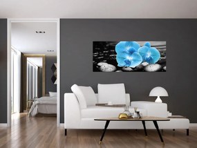 Obraz - Modrá orchidea (120x50 cm)
