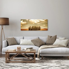Obraz čistinky (120x50 cm)