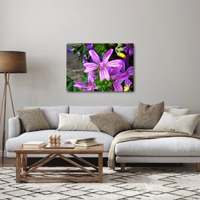 Obraz - lúčne kvety (70x50 cm)