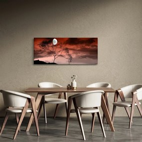 Obraz - Mesiac osvetľujúce noc (120x50 cm)
