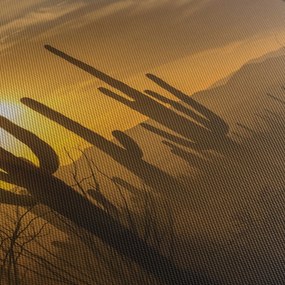 Obraz - Kaktusy Saguaro (90x60 cm)