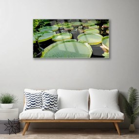 Skleneny obraz Listy jazero príroda 120x60 cm