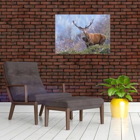 Obraz - Jeleň v krajine (70x50 cm)