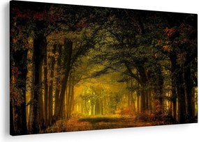 Obraz lesu (90x60 cm)