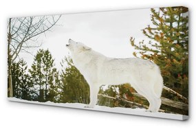 Obraz na plátne Vlk v zime lese 140x70 cm
