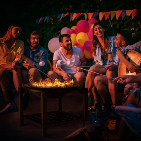 Gardebruk Ohnisko s priestorom na drevo FIRE, Ø55cm, čierna