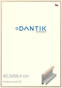 DANTIK rám na obraz 42x59,4 | ALU Dýha dub raw (Plexi Čiré)