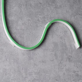 LED Pásik NEON 5 m LED/23W/12V IP65 zelená