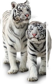 Obraz - Biely tiger (90x60 cm)