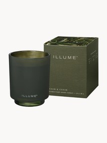 Vonná sviečka Refill (ihličie, škorica a dubový mach)