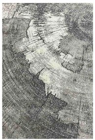 Koberec Frisee Beenom 0,8/1,5 1103 244