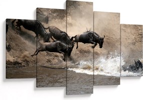 Obraz - Stádo pakoňov (150x105 cm)