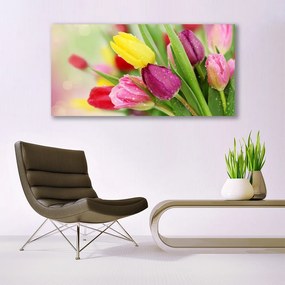 Obraz na akrylátovom skle Tulipány kvety rastlina 120x60 cm