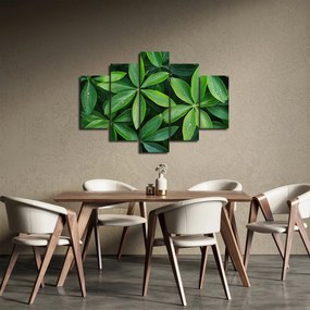 Obraz - Listy s kvapkami rosy (150x105 cm)