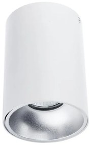 Bodové svietidlo TUBA 1xGU10/50W/230V biela