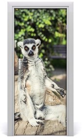 Samolepiace fototapety na dvere lemur 75x205 cm