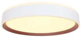 LED Stmievateľné stropné svietidlo s hlasovým ovládaním OPAL LED/48W/230V + DO