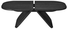 Čierny konferenčný stolík z dubového dreva 54x100 cm Avio – Blomus