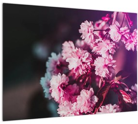 Sklenený obraz kvetov stromov (70x50 cm)