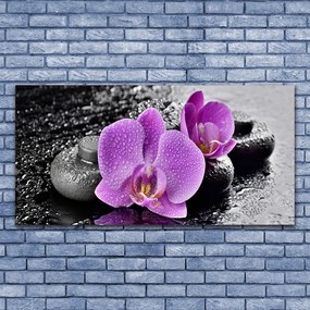 Obraz plexi Orchidea kvety kamene zen 120x60 cm