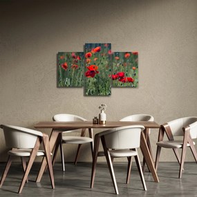 Obraz - Lúka s vlčími makmi (90x60 cm)