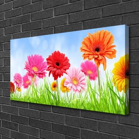 Obraz na plátne Kvety tráva rastlina 125x50 cm