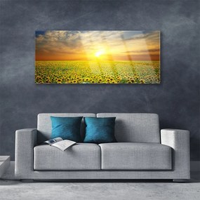 Obraz plexi Slnko lúka slnečnica 125x50 cm