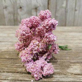 umelá ZELEŇ-DOPLNOK MIX 2 FARIEB 14x12cm cena za 1ks