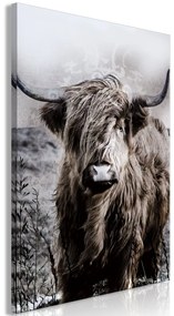 Obraz - Vysokohorská krava - sépia 80x120