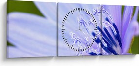 Obraz - kvet (s hodinami) (90x30 cm)