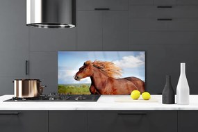 Nástenný panel  Kôň zvieratá 140x70 cm