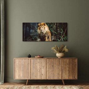 Obraz leva v prírode (120x50 cm)