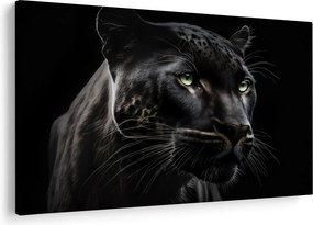 Obraz - Čierny panter (90x60 cm)