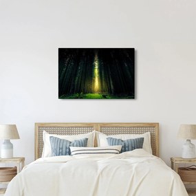 Obraz temného lesa (90x60 cm)