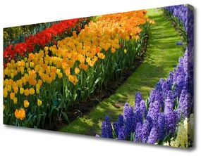 Obraz Canvas Kvety záhrada tulipány 140x70 cm