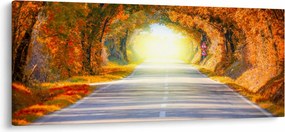 Obraz - Brána z korún stromov (120x50 cm)