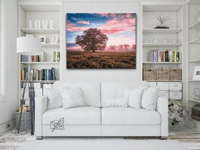 Gario Diamantové maľovanie Osamelý strom a červená obloha Rozmery: 50 x 40 cm, Rámovanie: S vnútorným rámom, Diamanty: Okrúhle