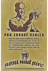 Ceduľa Pro zdravý vzhled - není nad pivo