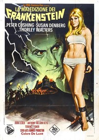 Ilustrácia Frankenstein Created Woman 02