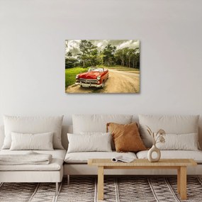 Obraz - auto veterán v prírode (70x50 cm)