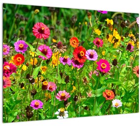 Sklenený obraz lúčnych kvetov (70x50 cm)