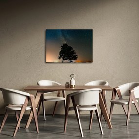 Obraz nočnej oblohy so stromami (70x50 cm)
